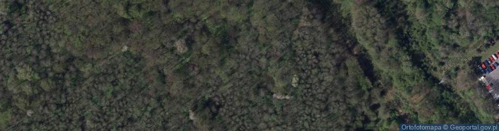 Zdjęcie satelitarne Sarni Stok