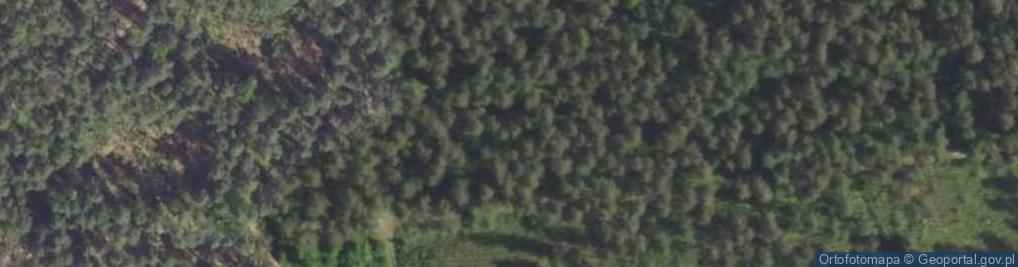 Zdjęcie satelitarne Uroczysko Cecyli