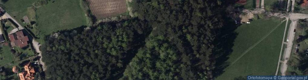 Zdjęcie satelitarne Wzgórze Goruszka