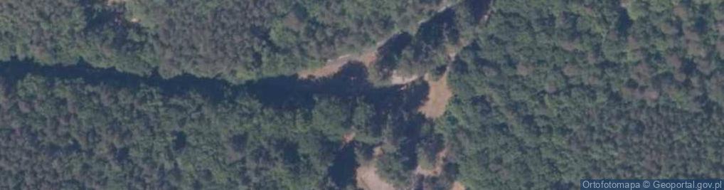 Zdjęcie satelitarne Do zagrody pokazowej żubrów 1600 m.