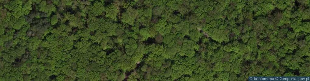 Zdjęcie satelitarne Las Osobowicki, Park Osobowicki