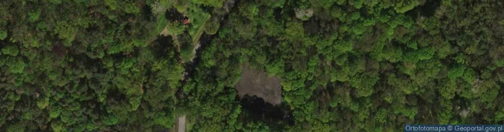 Zdjęcie satelitarne Las Osobowicki, Park Osobowicki