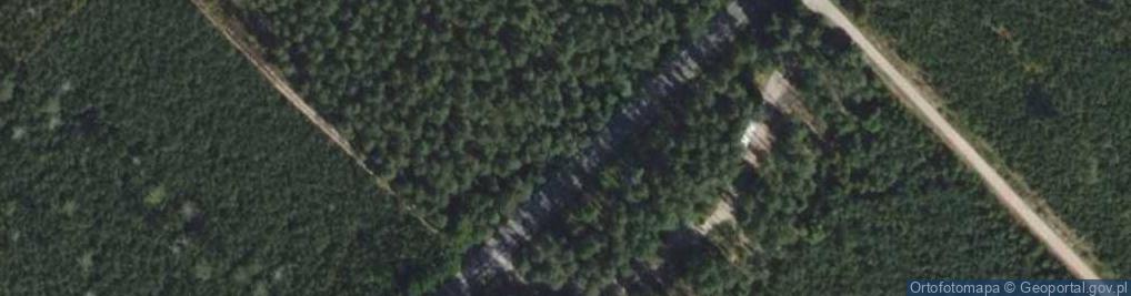 Zdjęcie satelitarne Parking Leśny