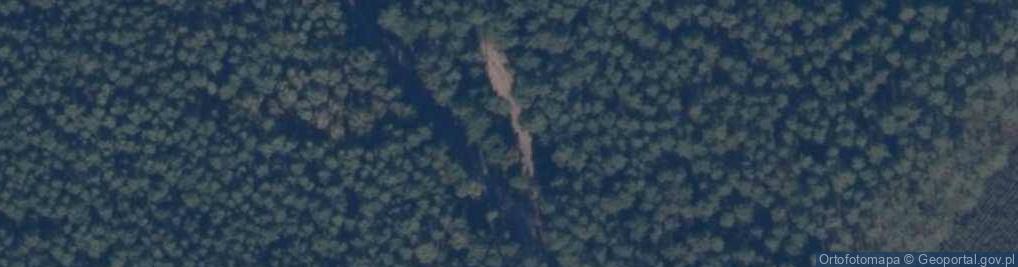 Zdjęcie satelitarne Parking Leśny