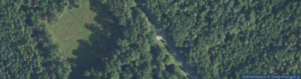 Zdjęcie satelitarne Parking Leśny