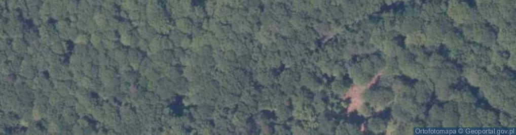 Zdjęcie satelitarne Wzgórze Gosań