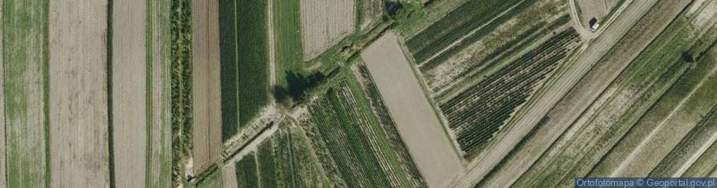 Zdjęcie satelitarne Lewiatan - Sklep