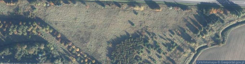 Zdjęcie satelitarne Lidl - Supermarket