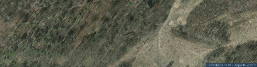 Zdjęcie satelitarne Fortyfikacja Linia Mołotowa