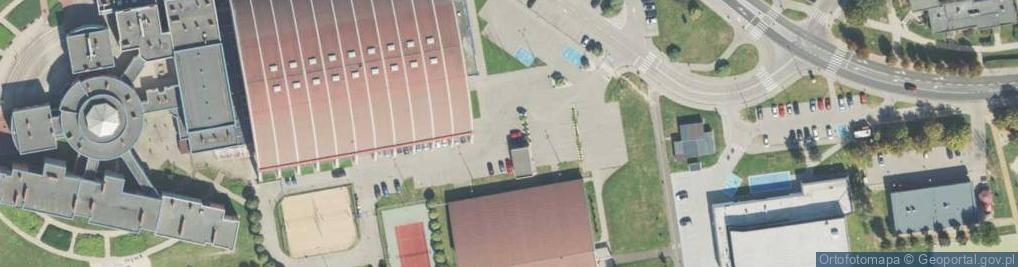 Zdjęcie satelitarne Lodowisko - Rolkowisko