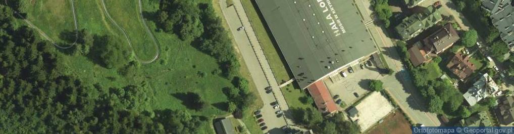 Zdjęcie satelitarne Lodowisko