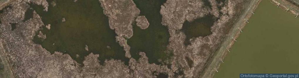 Zdjęcie satelitarne Ossów - Łowisko Komercyjne