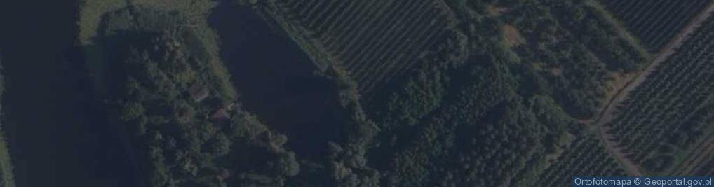 Zdjęcie satelitarne Piwonin - (PZW)