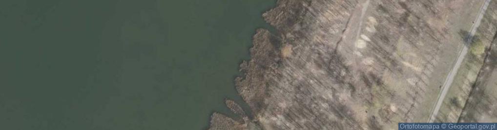 Zdjęcie satelitarne Pogoria III - PZW
