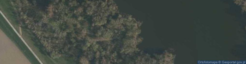 Zdjęcie satelitarne Polder Buków (PZW)