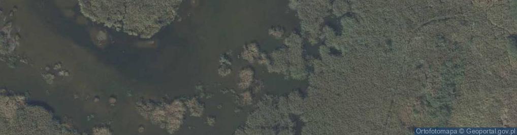 Zdjęcie satelitarne Strupin Mały - staw