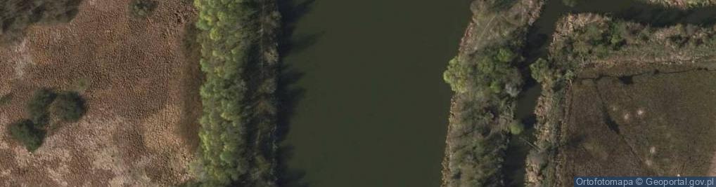 Zdjęcie satelitarne Zalesie Górne - PZW Piaseczno