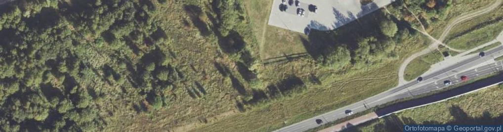 Zdjęcie satelitarne McDonald's