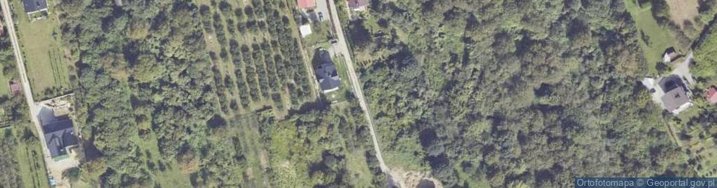 Zdjęcie satelitarne Światłowód Netia Sandomierz-Zamów Usługi