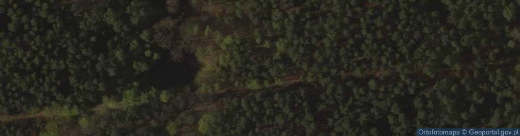 Zdjęcie satelitarne Altana leśna