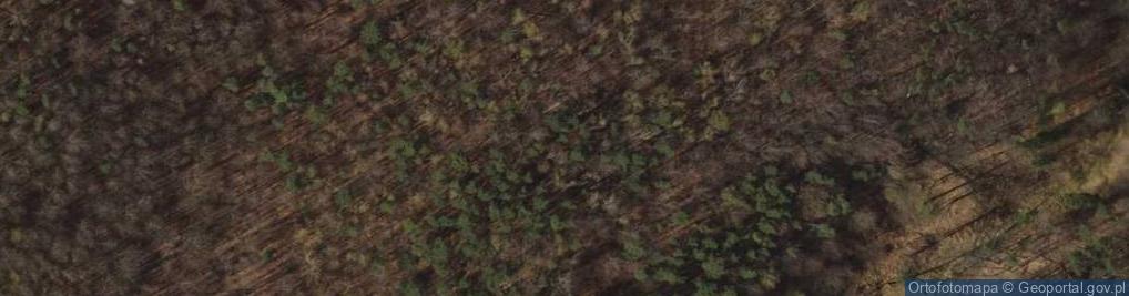 Zdjęcie satelitarne domek przy torze