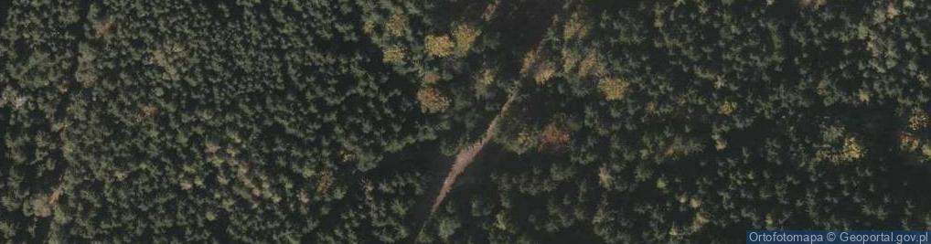 Zdjęcie satelitarne Krzyżówka BHP