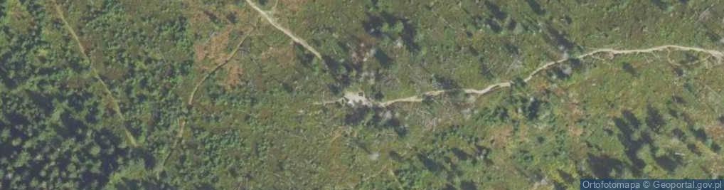 Zdjęcie satelitarne Ławka