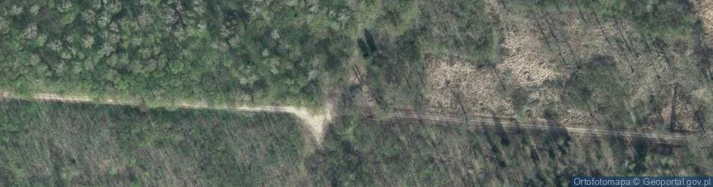 Zdjęcie satelitarne Ścieżka Przyrodnicza "Czarny Las"