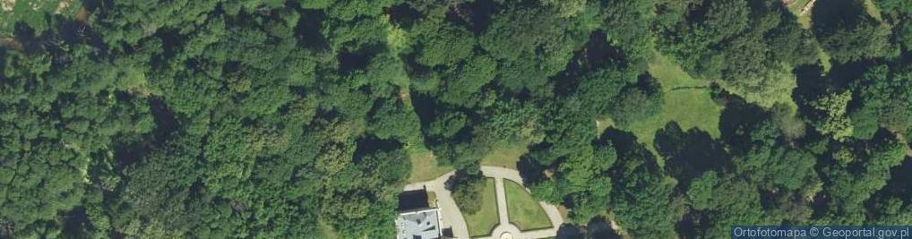 Zdjęcie satelitarne Pałac Mierzęcin