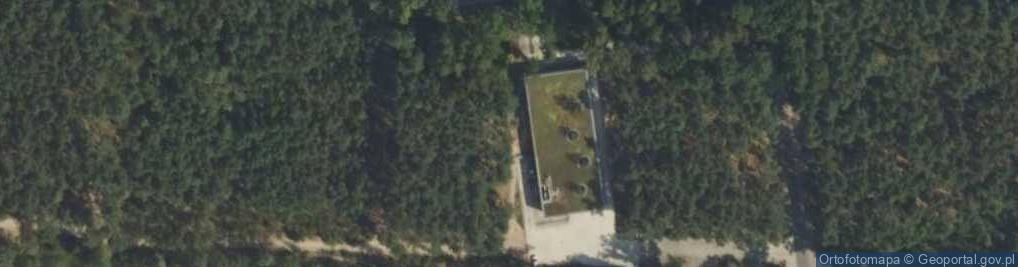 Zdjęcie satelitarne Miejsce Pamięci Palmiry