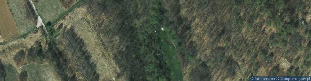 Zdjęcie satelitarne Rekonstrukcja Prehistorycznej Osady