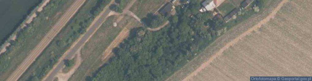Zdjęcie satelitarne Rogowska Kolej Wąskotorowa