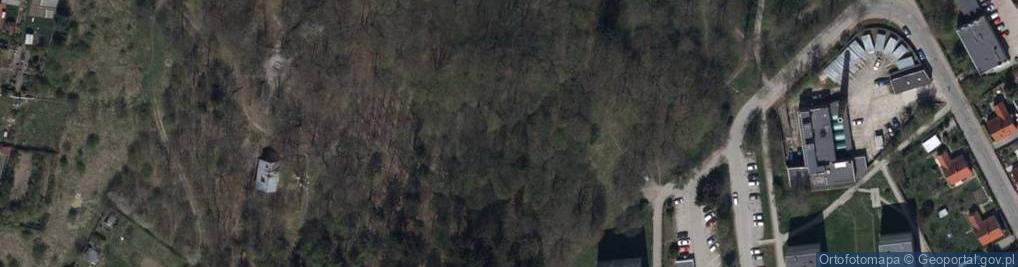 Zdjęcie satelitarne TSR Góra Kościelna