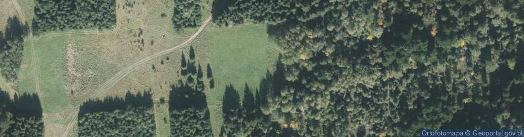 Zdjęcie satelitarne TSR Jeleśnia