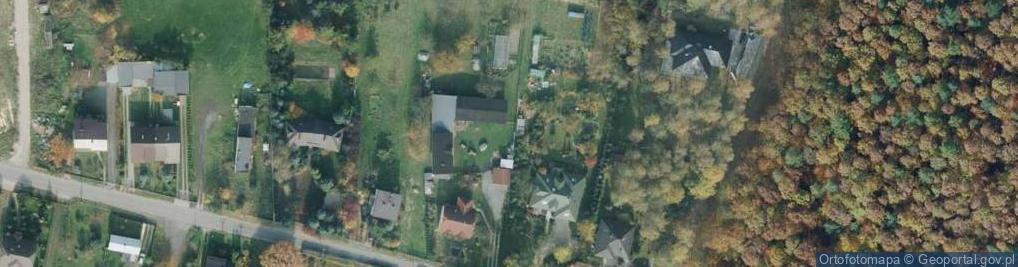 Zdjęcie satelitarne Jurajskie Wilki - boisko