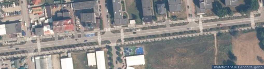 Zdjęcie satelitarne Lunapark Sowiński 