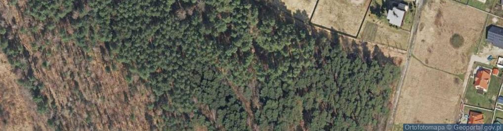 Zdjęcie satelitarne Strzelnica wojskowa
