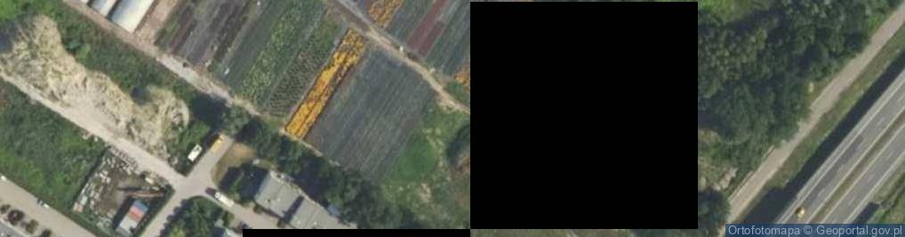 Zdjęcie satelitarne Wiktor pierze