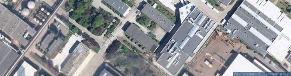 Zdjęcie satelitarne Oddział PTTK Dolna Odra w Nowym Czarnowie