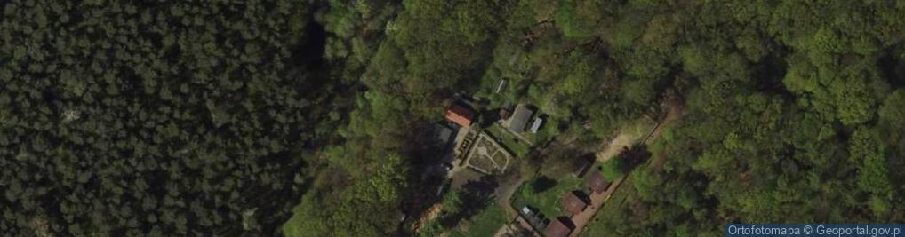 Zdjęcie satelitarne Arboretum Bramy Morawskiej