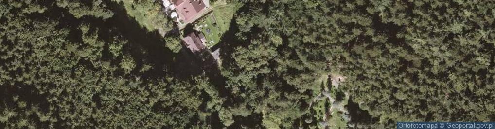 Zdjęcie satelitarne Arboretum