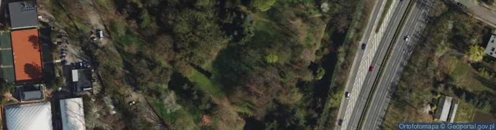 Zdjęcie satelitarne Ogród Dendrologiczny Akademii Rolniczej