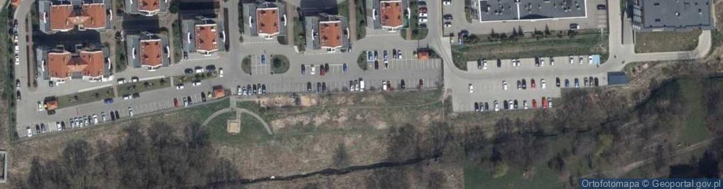 Zdjęcie satelitarne Park Dendrologiczny nad Krępicą