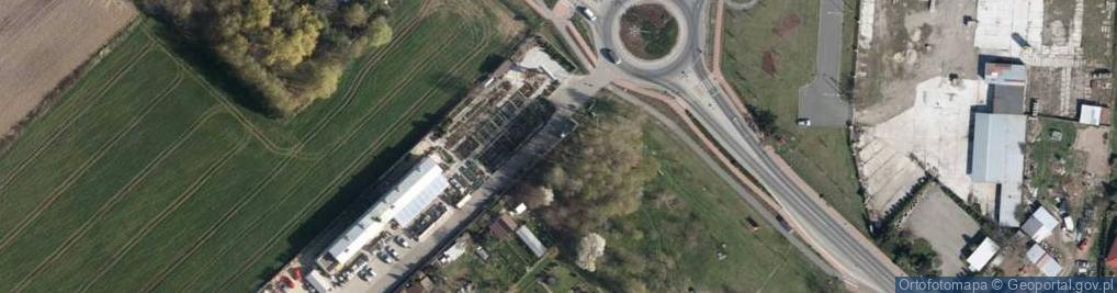 Zdjęcie satelitarne Arbor