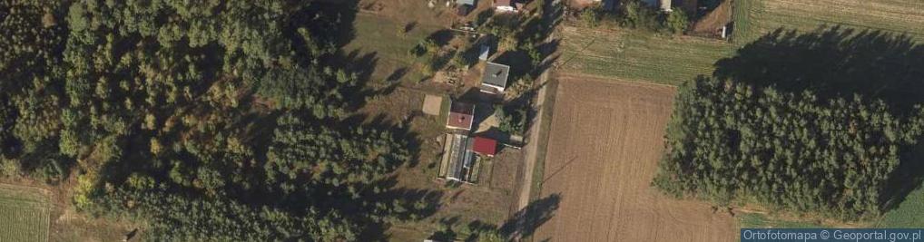 Zdjęcie satelitarne Gospodarstwo Ogrodnicze Anna Piask