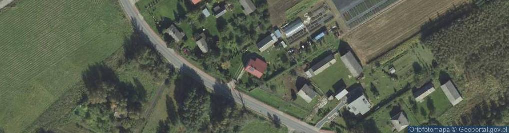 Zdjęcie satelitarne M&D Jaszuk Szkółka Roślin Jagodowych