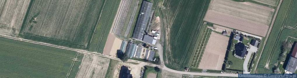 Zdjęcie satelitarne Ogrodnictwo Jasiona