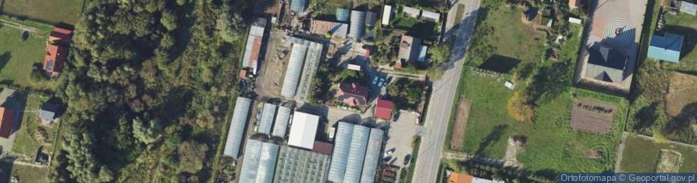 Zdjęcie satelitarne Ogrodnictwo M.M. Woleccy