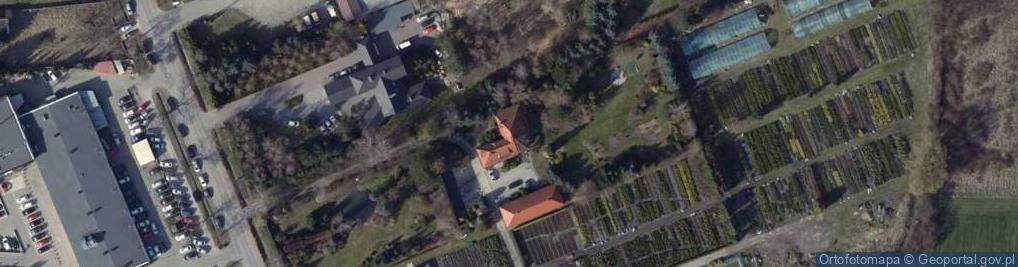Zdjęcie satelitarne Szkółka Drzew I Krzewów Małgorzata I Wojciech Januszewscy