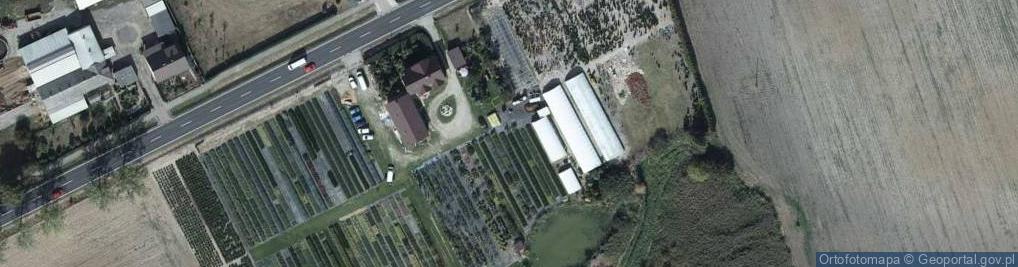 Zdjęcie satelitarne Szkółka drzew i krzewów ozdobnych